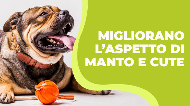 shampoo delicato per manto e cute per cani e gatti