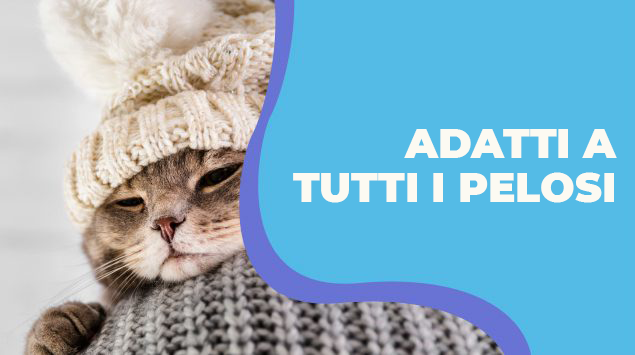 shampoo adatto a cani e gatti