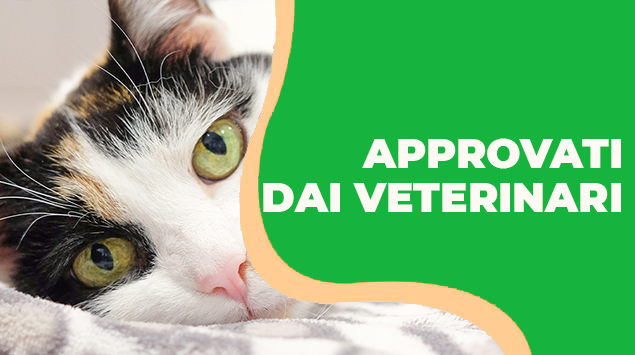 approvati dai veterinari shampoo di qualità per cani e gatti